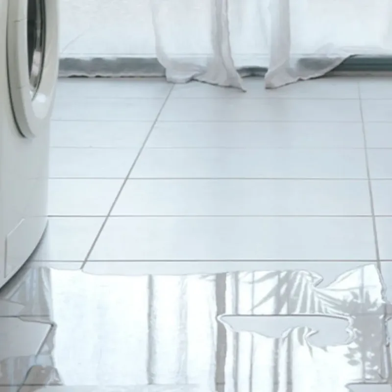 Appliance Leak Cleanup in Monroe County, KY
