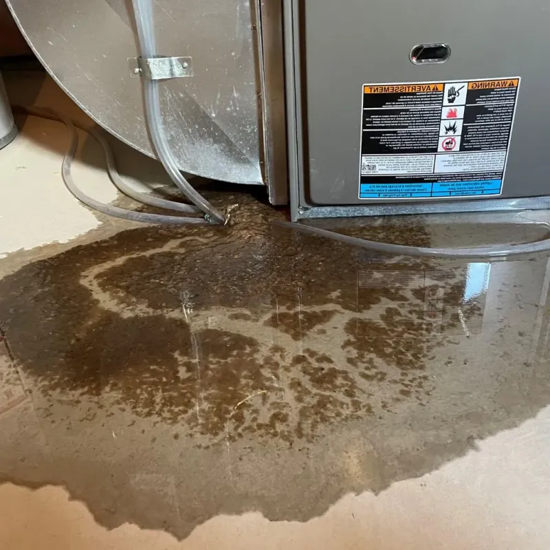 Pipe Burst and Leak Restoration in Monroe County, KY